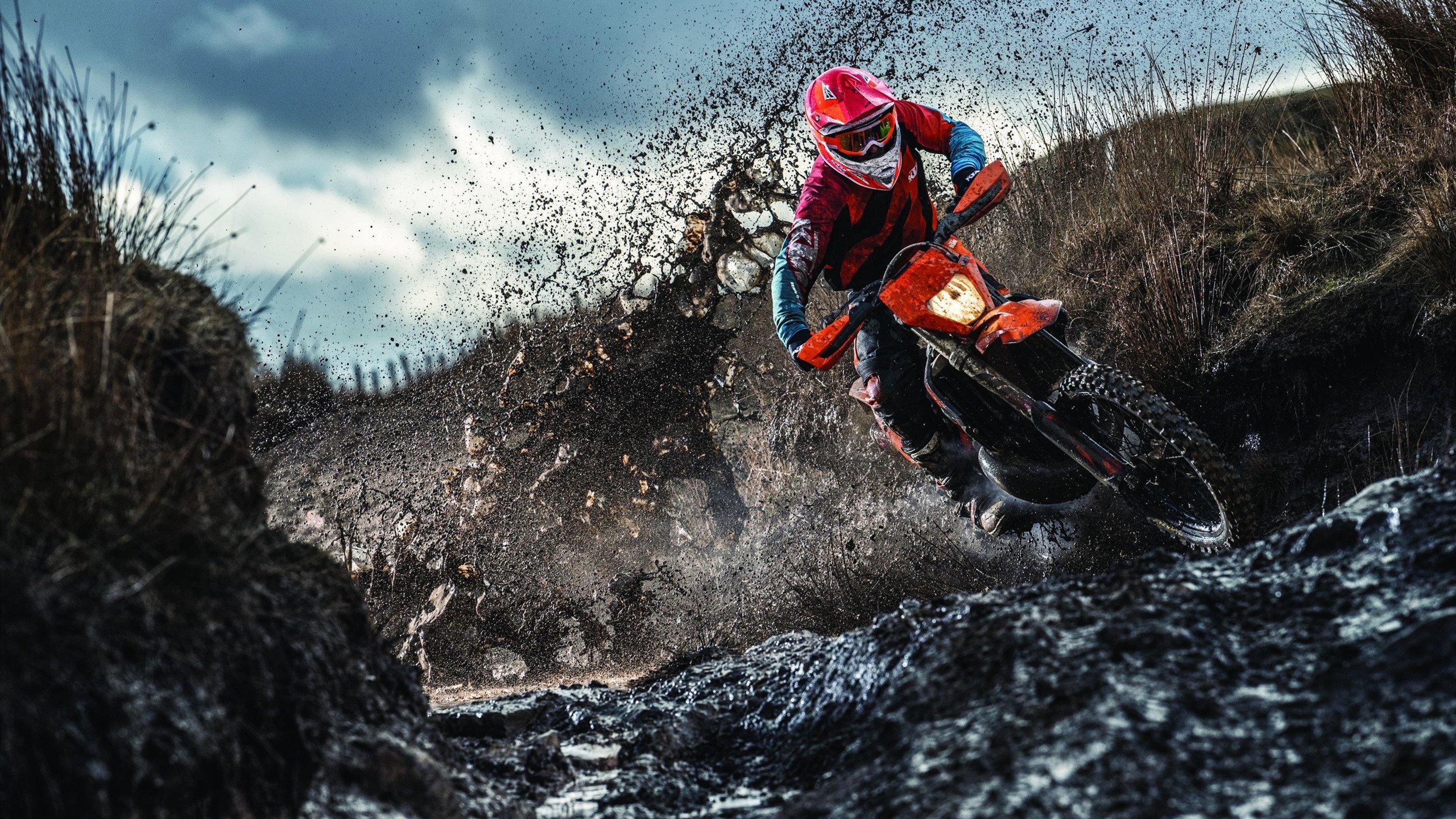 kaiyun 开云体育-澳洲队泳池内外双重突破，未来可期，澳洲泳坛少女惊艳